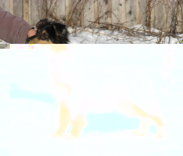 145561870446147239.jpg