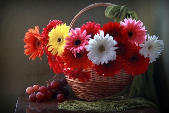 cvety-gerbery-vinograd-korzina-1001041.jpg