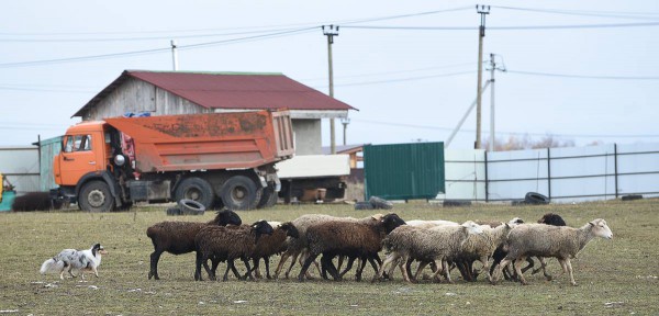 7 Аляска+ 29_10_2017.jpg