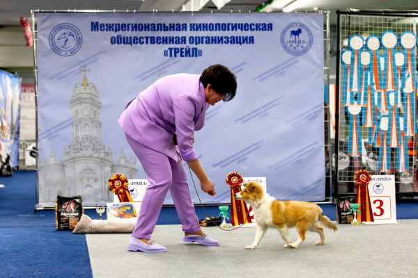 кобель настя.jpg