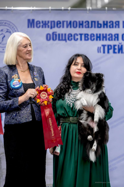 -5276496786795206243_121.jpg