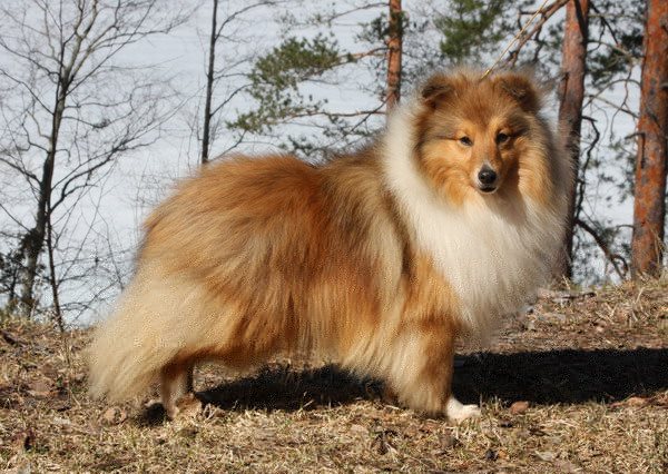 феня в финке.jpg