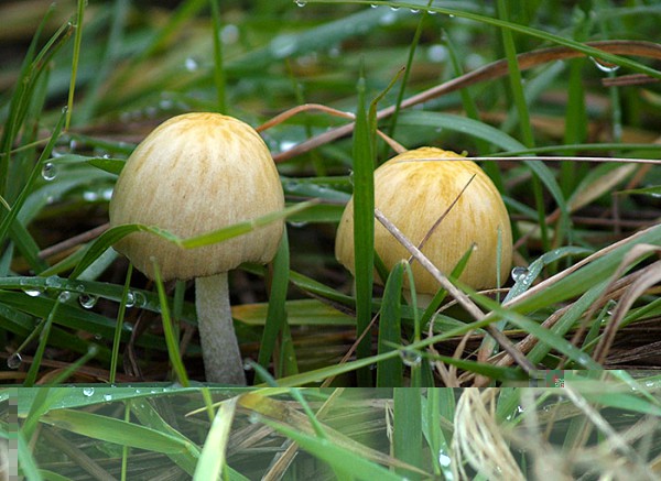 PB126074.JPG