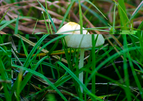 PB126084.JPG