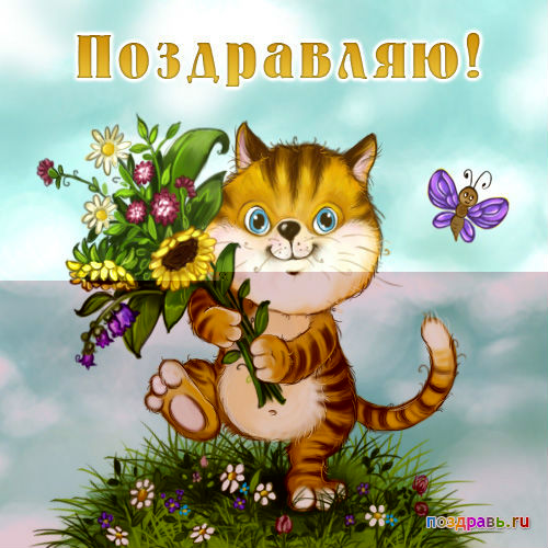 71671cc7ad91a174452343065a76b7e0-500x500.jpg