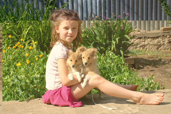 DSC_0021.jpg
