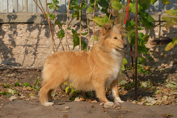DSC_0006.jpg