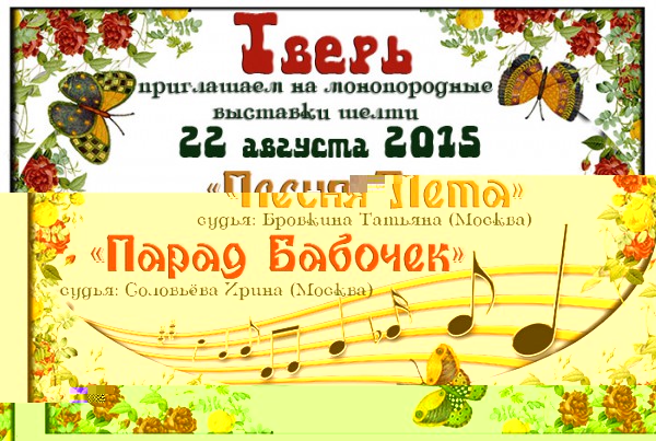 leto-2015.jpg