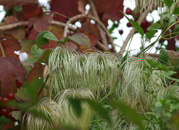 PA015938.JPG