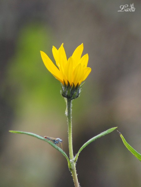 PA015963.JPG