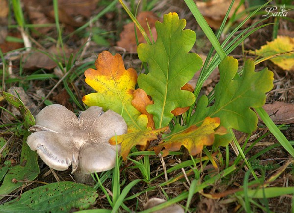 PA015954.JPG
