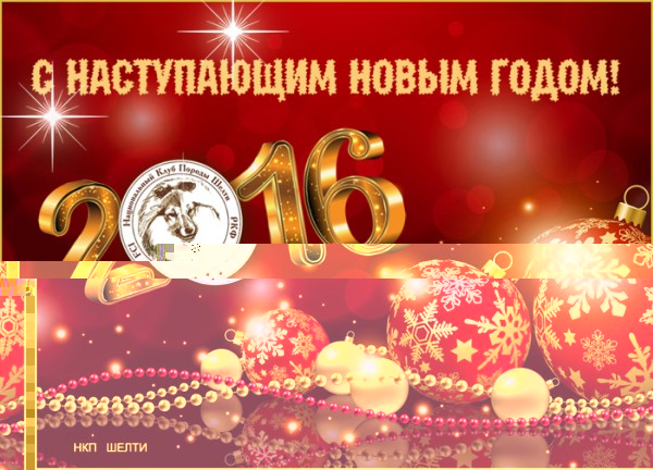 2016.jpg