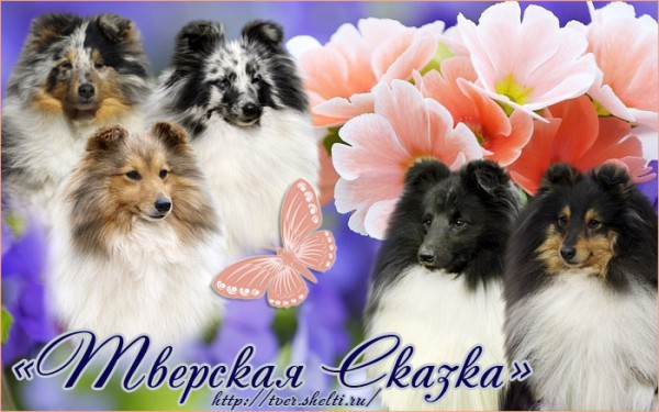 tverskaya_skazka.jpg