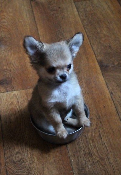 photofacefun_com_1449663526.jpg